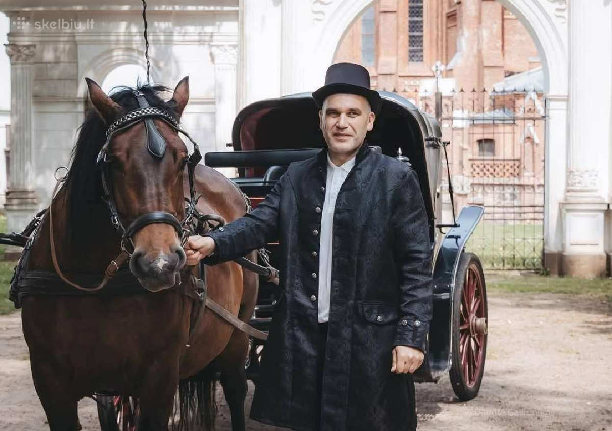 Parduodama jauki kumelė - nuotraukos Nr. 7