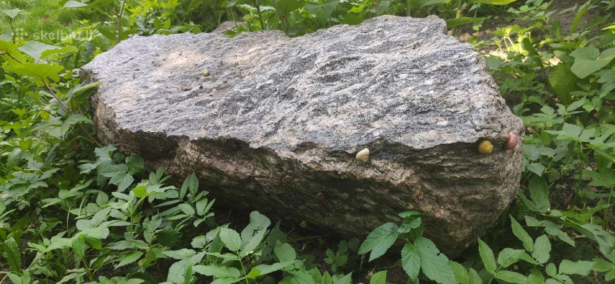 Betoninis gėlynas - nuotraukos Nr. 9