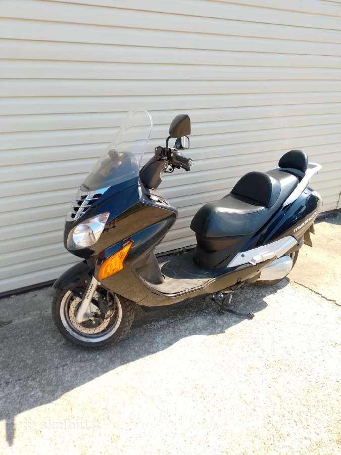 Ms 250 - nuotraukos Nr. 3