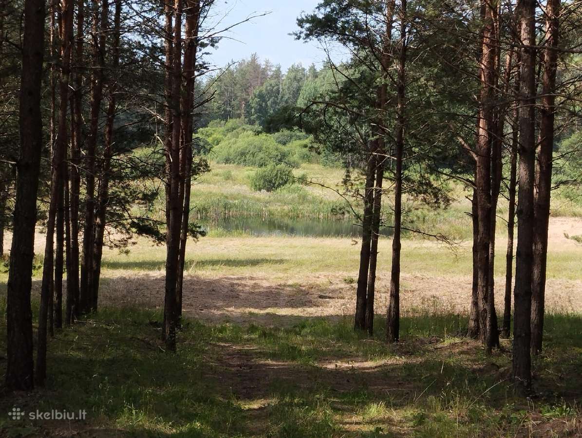 64 arų sklypas su tvenkiniu - nuotraukos Nr. 2