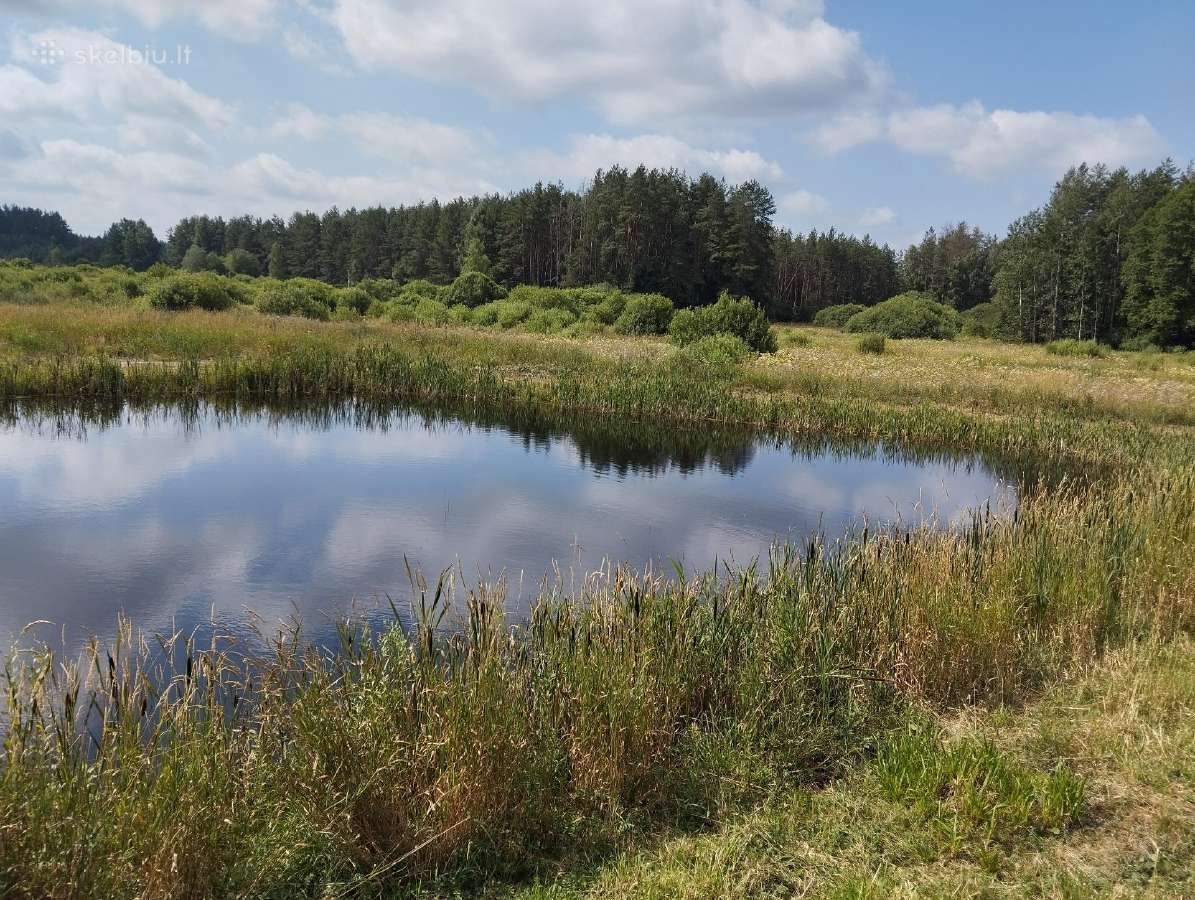 64 arų sklypas su tvenkiniu - nuotraukos Nr. 3