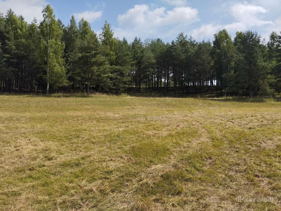 64 arų sklypas su tvenkiniu - nuotraukos Nr. 4
