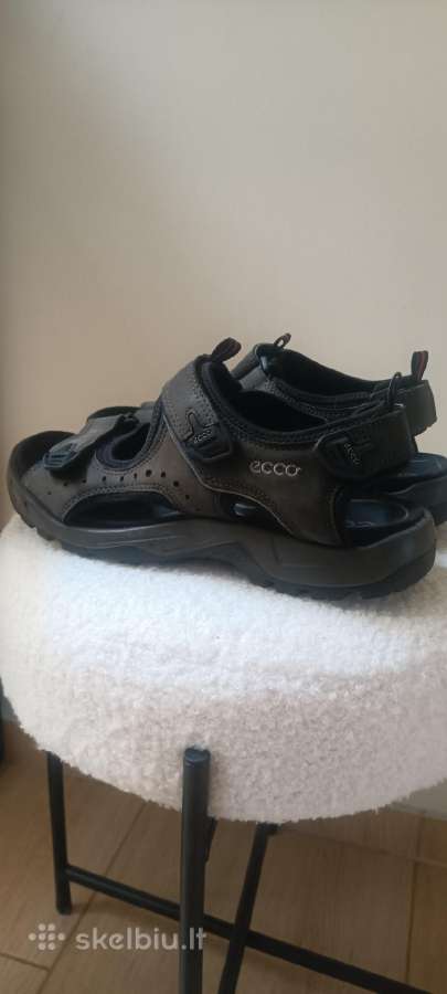 Ecco - nuotraukos Nr. 2
