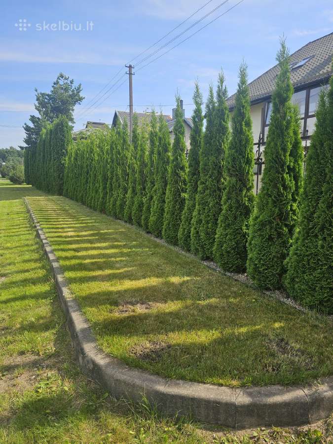 50m² 20 vietų šašlikine su 9 vietu apgyvendinimu - nuotraukos Nr. 35