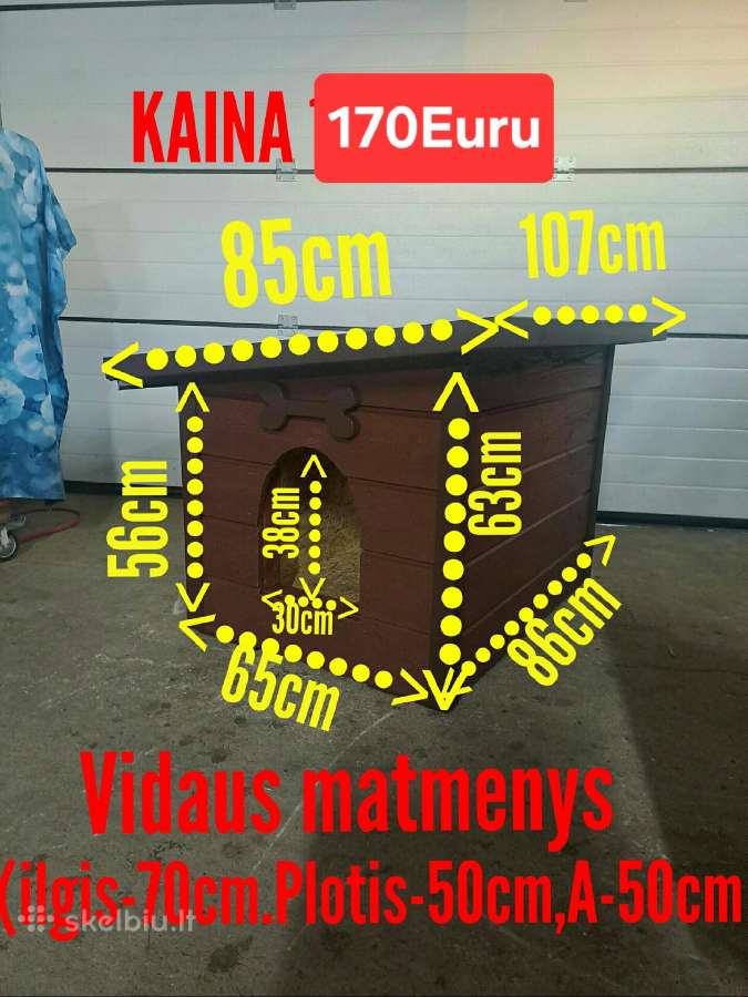 Šuns buda šuns budos - nuotraukos Nr. 12