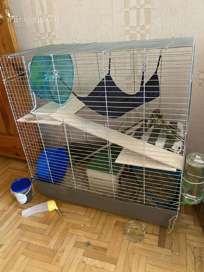 Du jauni degu patinėliai su įranga - nuotraukos Nr. 4