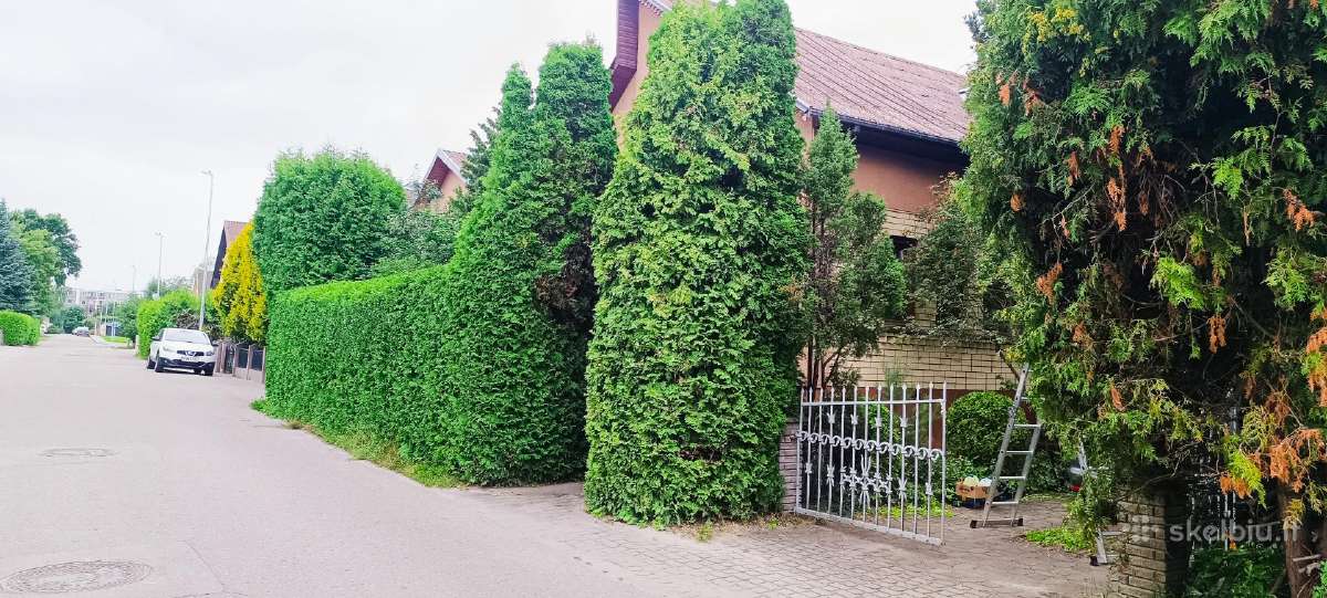 Sodybų priežiūra,medžių genėjimas, žolės pjovimas. - nuotraukos Nr. 12