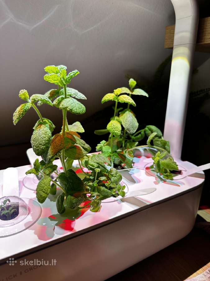Click & Grow Smart Garden 9 - nuotraukos Nr. 2