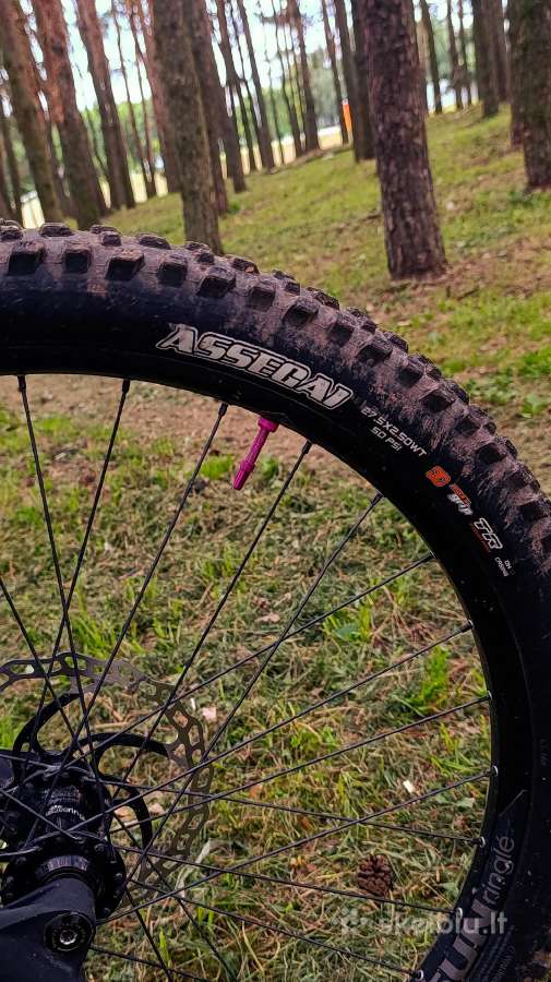 Parduodu rose soulfire downhill dvirati - nuotraukos Nr. 16