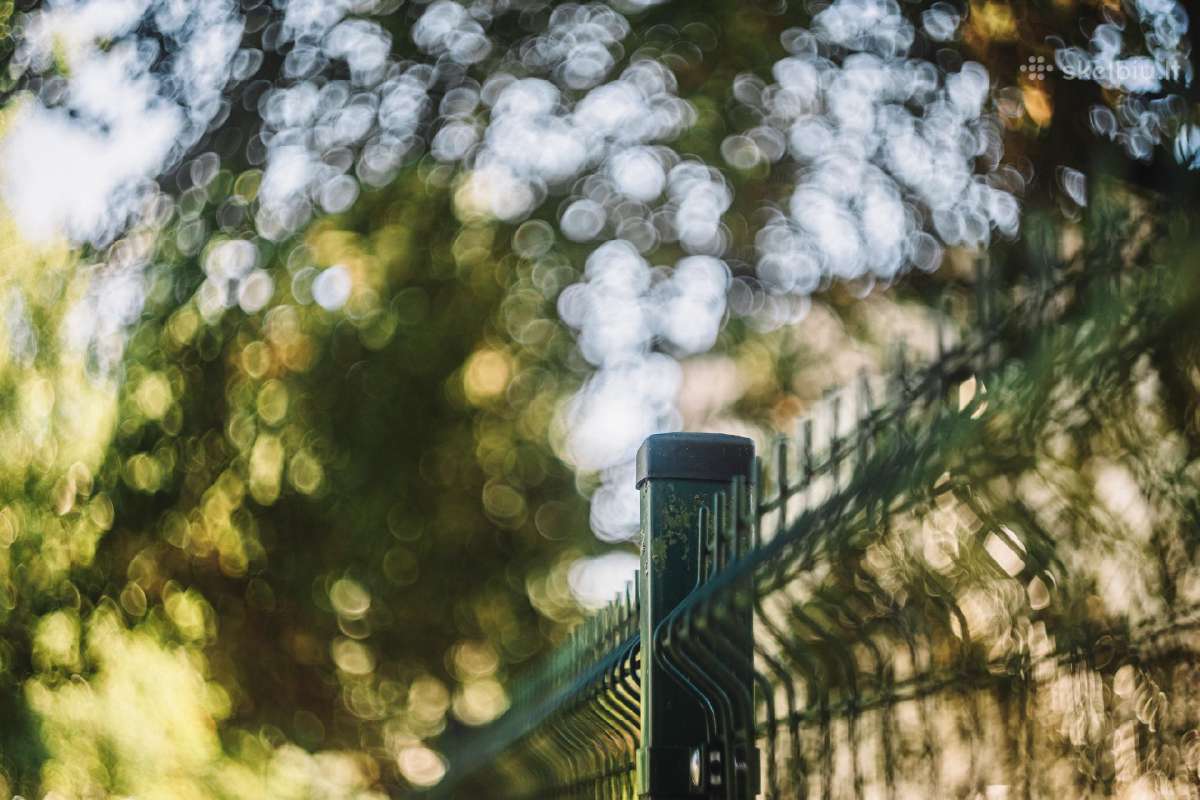 Helios-44-2 Valdai M42 - nuotraukos Nr. 20