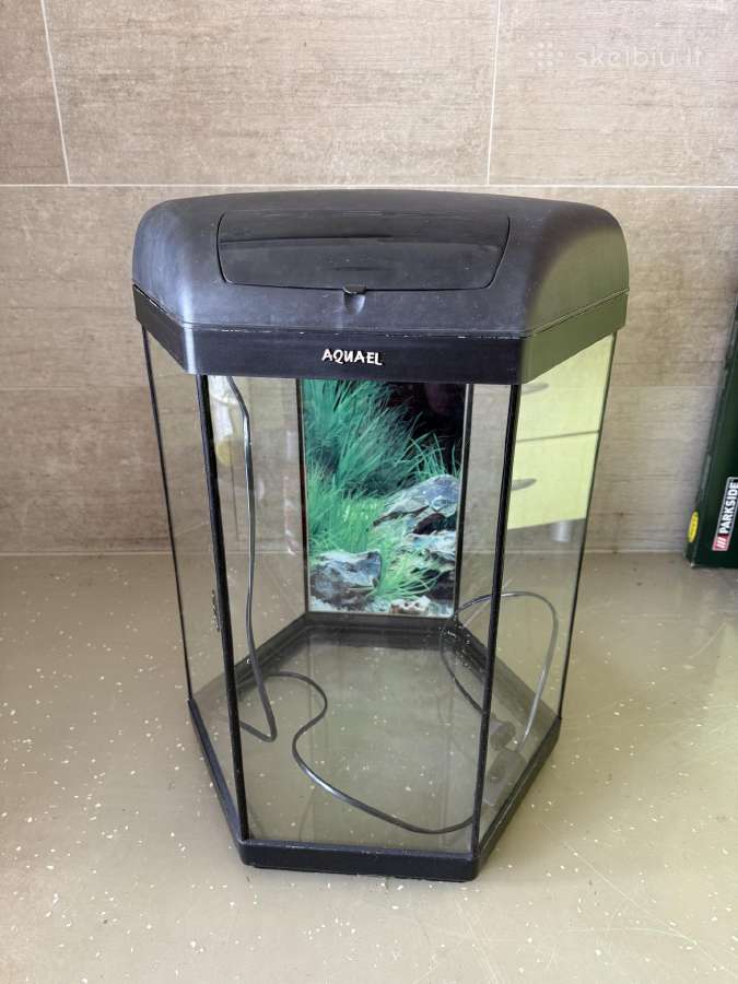 Akvariumas su spintele ir filtru - nuotraukos Nr. 4