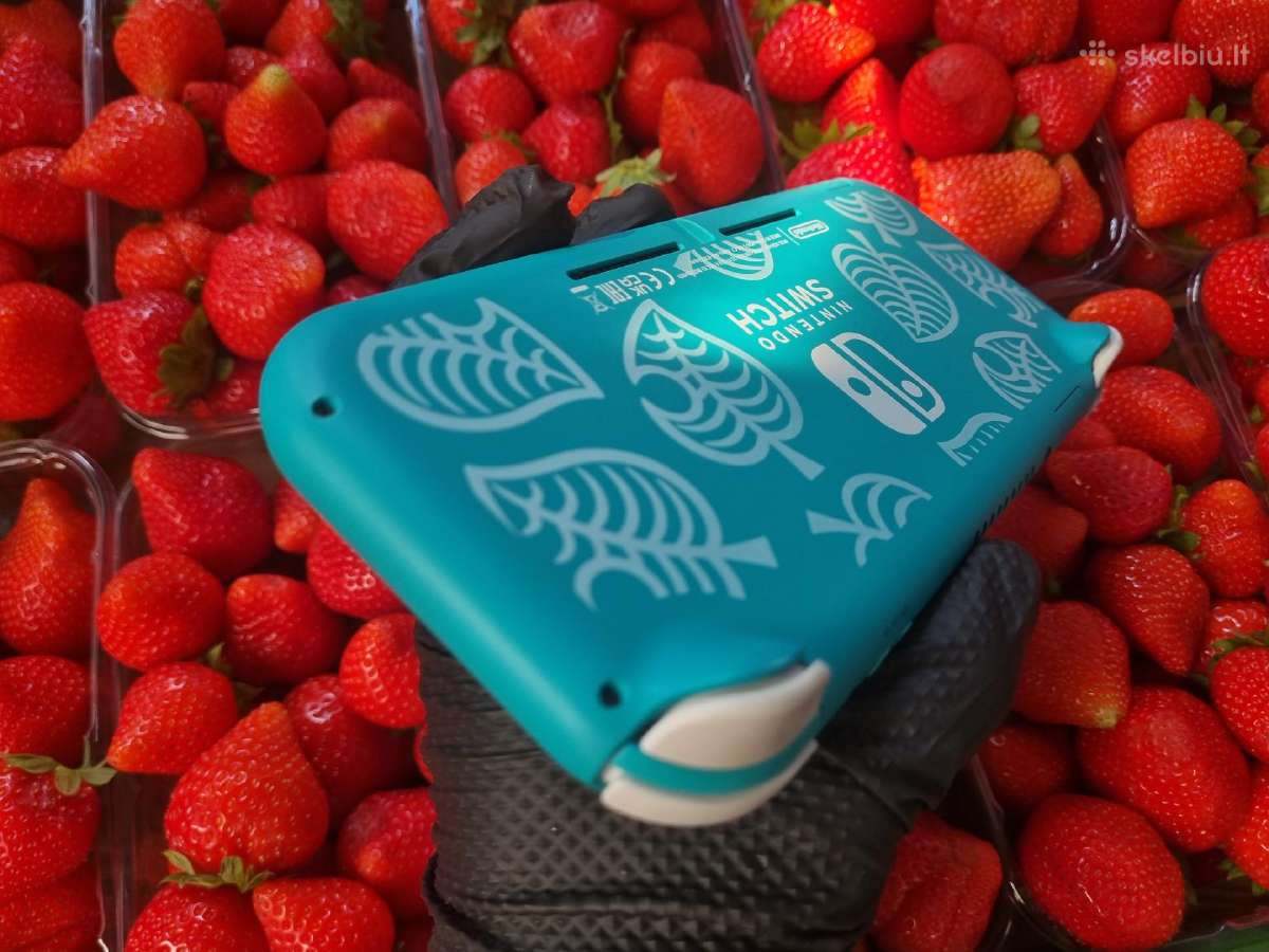 Atrištas Switch Lite - nuotraukos Nr. 4