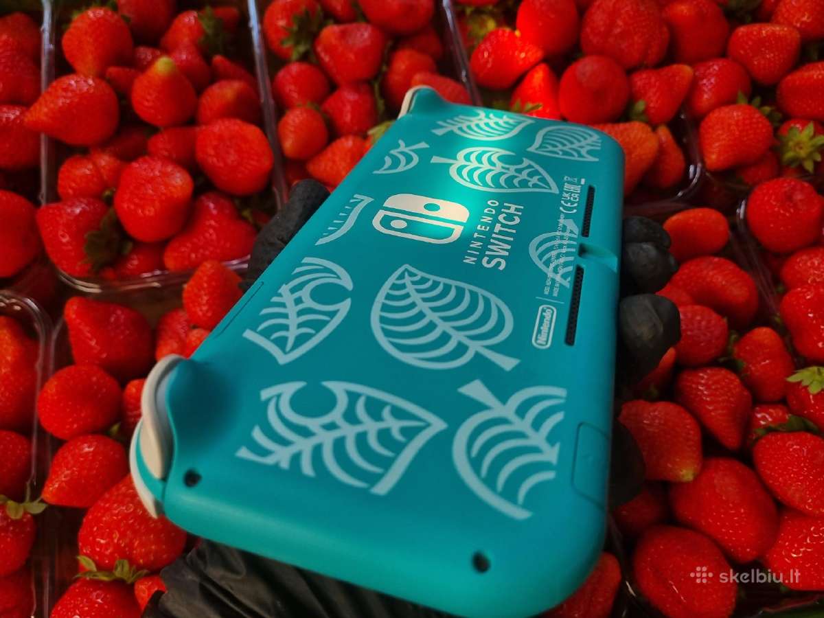Atrištas Switch Lite - nuotraukos Nr. 2