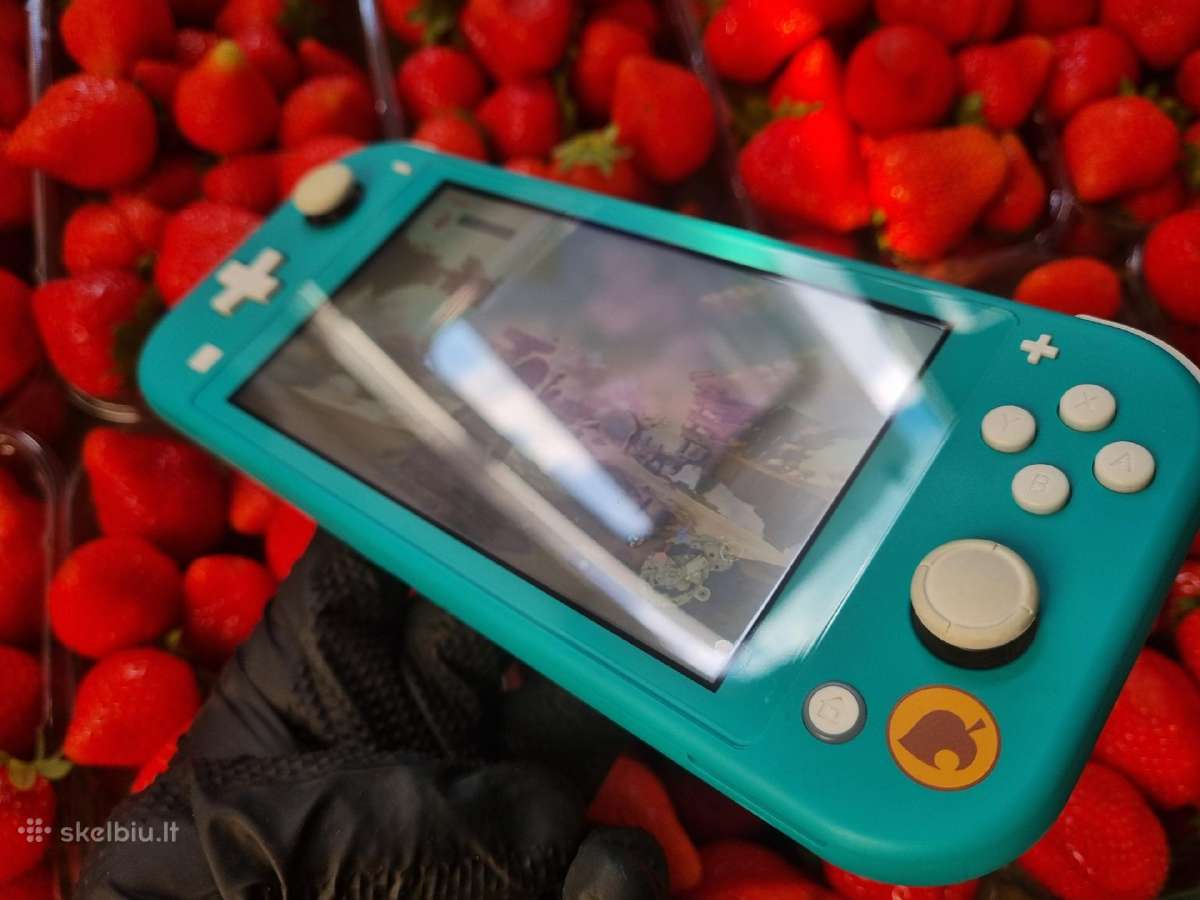 Atrištas Switch Lite - nuotraukos Nr. 5