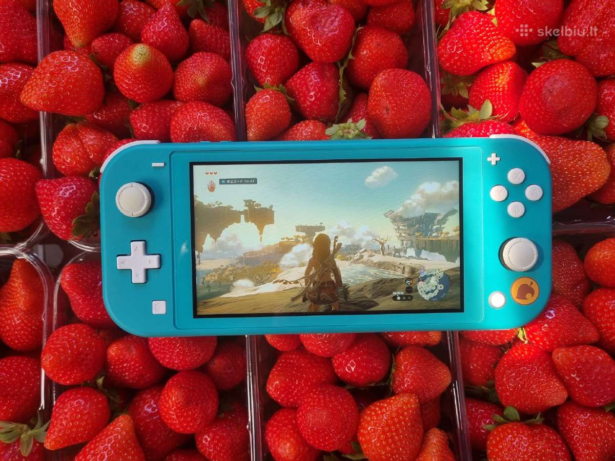 Atrištas Switch Lite - nuotraukos Nr. 3