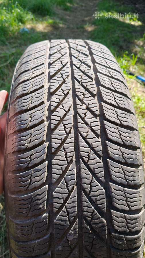 Gislaved Euro Frost 5 195/65/r15 - nuotraukos Nr. 2