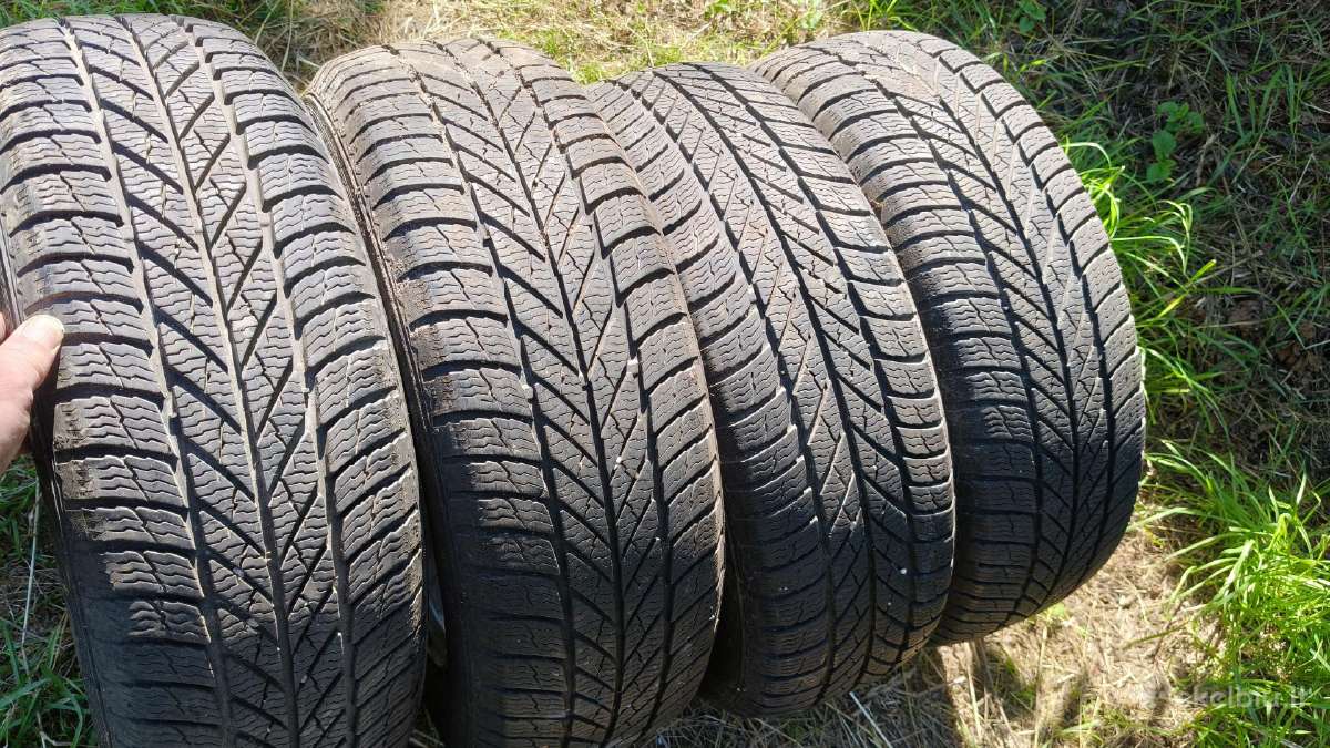 Gislaved Euro Frost 5 195/65/r15 - nuotraukos Nr. 3