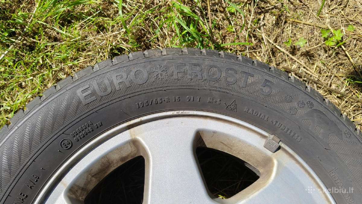 Gislaved Euro Frost 5 195/65/r15 - nuotraukos Nr. 6