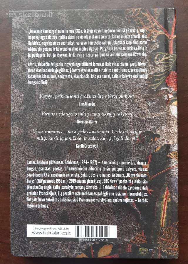 Knyga "Džovanio kambarys" - nuotraukos Nr. 2