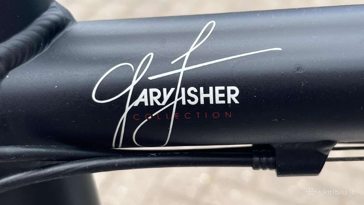 Trek 8.3 DS Gary Fisher Collection - nuotraukos Nr. 7