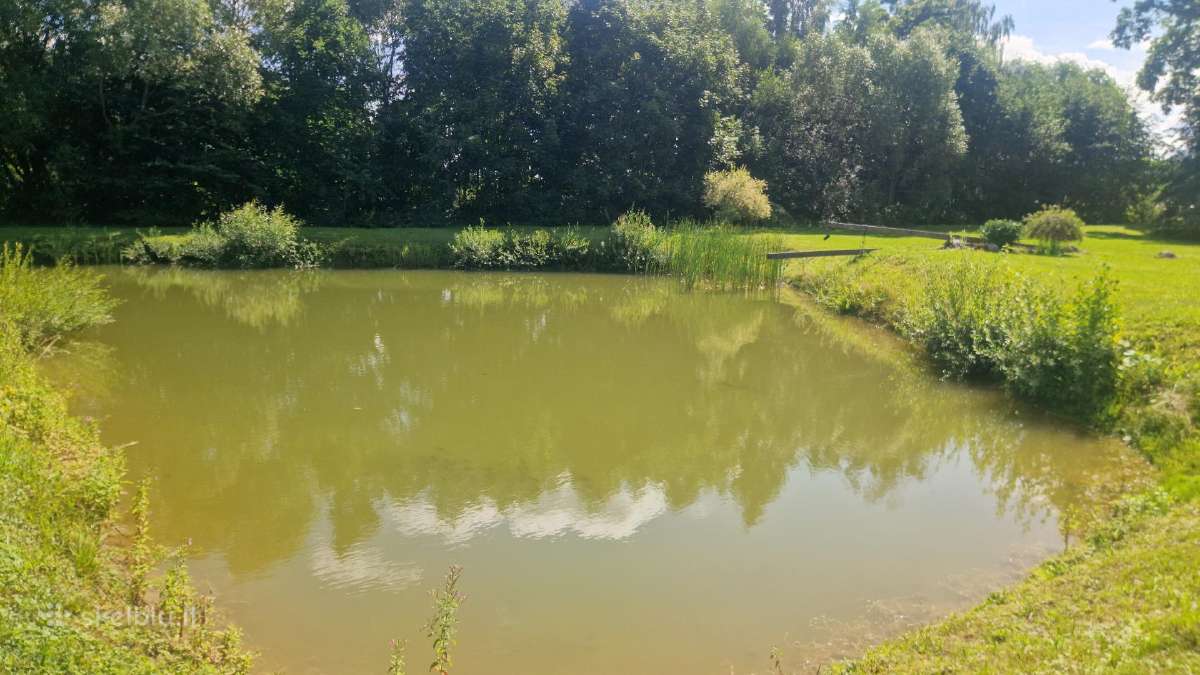 Gyvenamas namas su namų valdos sklypu - nuotraukos Nr. 5