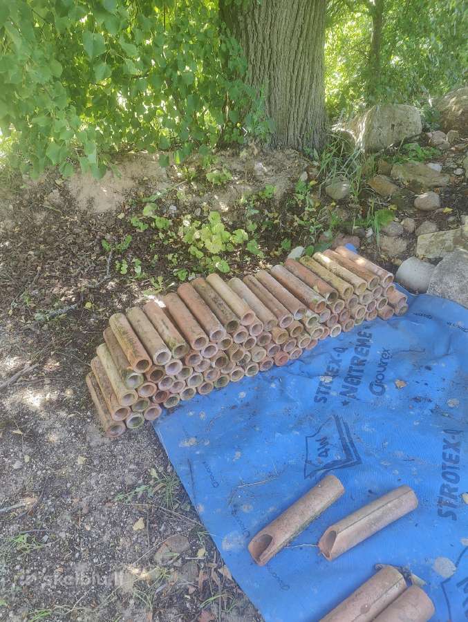 Moliniai vamzdeliai - nuotraukos Nr. 2