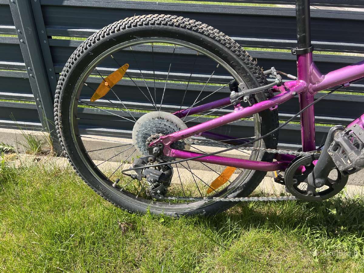 Bergamont Revox 24 vaikiškas kalnų dviratis - nuotraukos Nr. 2