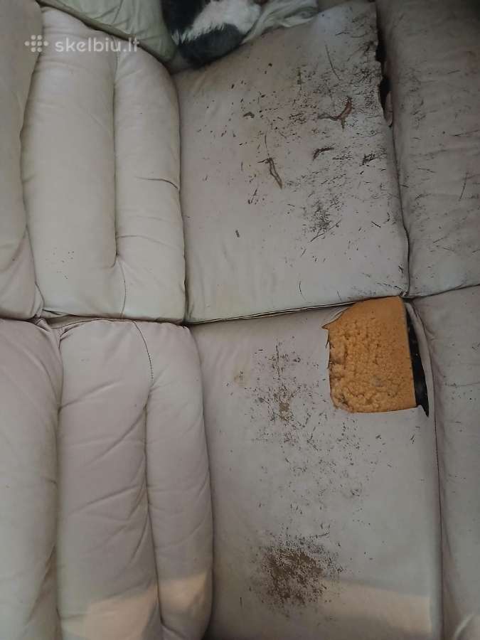 Odine sofa - nuotraukos Nr. 3