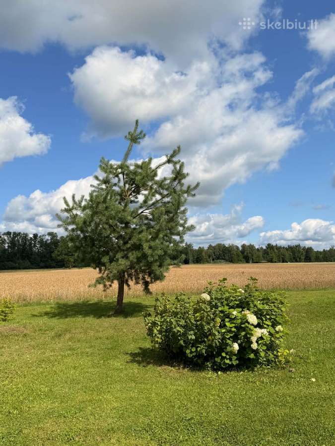 Parduodama nebaigta įrengti sodyba–vienkiemis. - nuotraukos Nr. 22