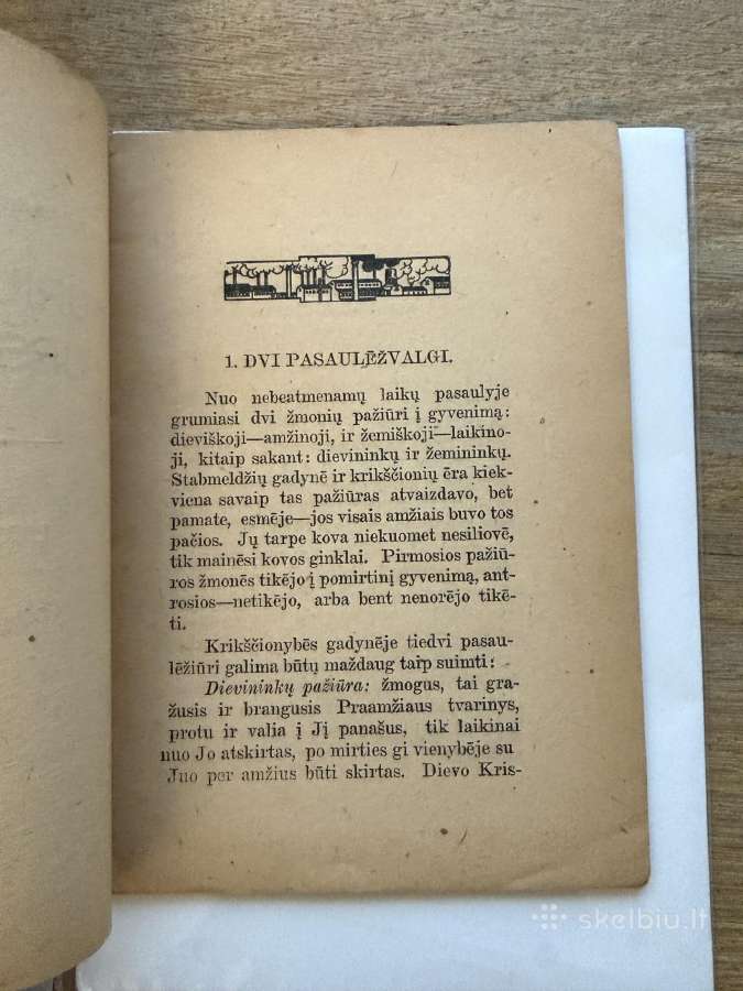 Kurių bus viršus? 1921 m. - nuotraukos Nr. 3