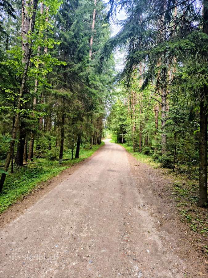 Sodo Namas Prie Miško ! - nuotraukos Nr. 18