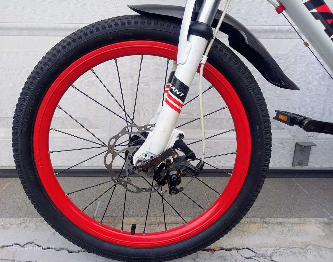 Giant Atx 20" dviratis vaikui, diskiniai stabdžiai - nuotraukos Nr. 9