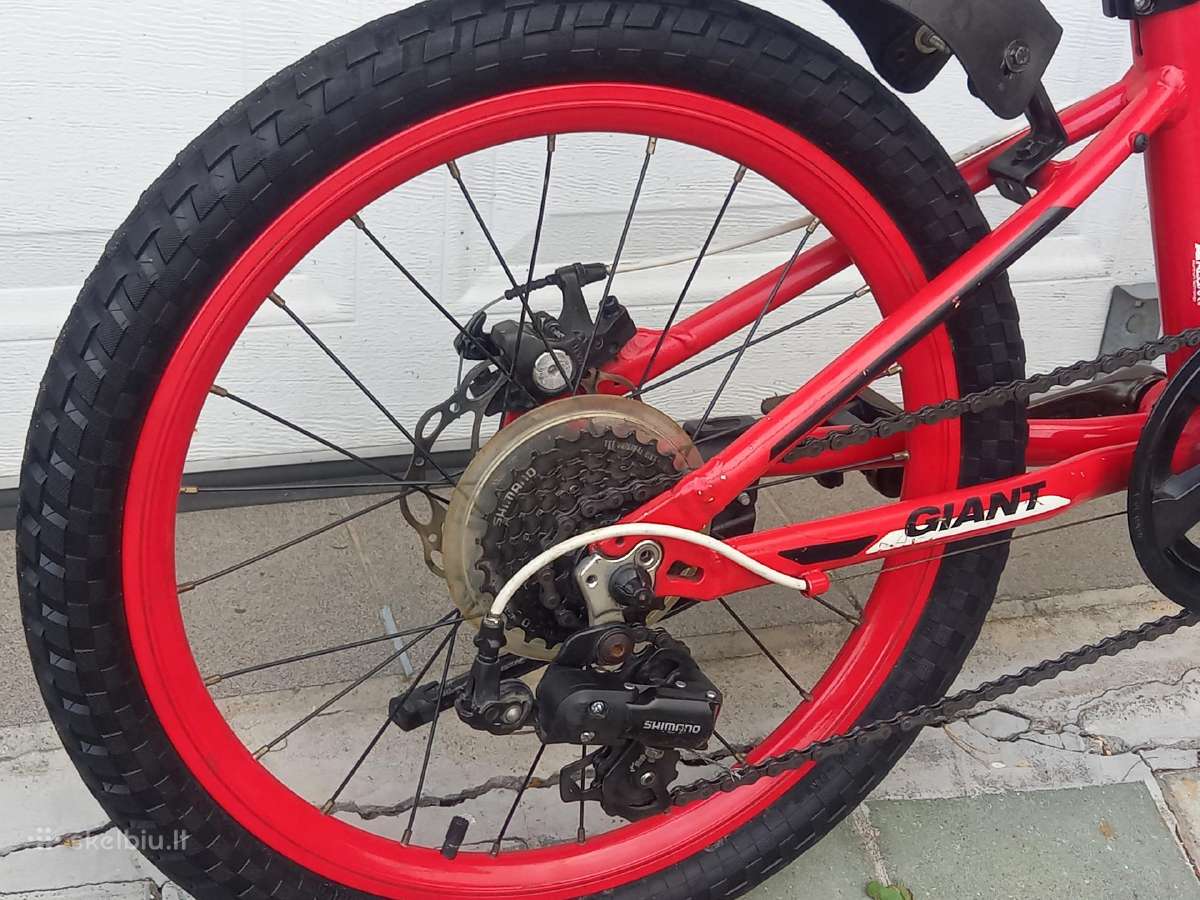 Giant Atx 20" dviratis vaikui, diskiniai stabdžiai - nuotraukos Nr. 12