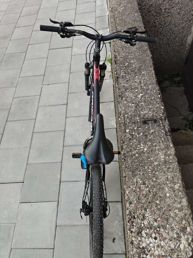 Dviratis XL 29" - nuotraukos Nr. 2
