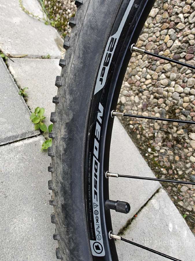 Dviratis XL 29" - nuotraukos Nr. 4