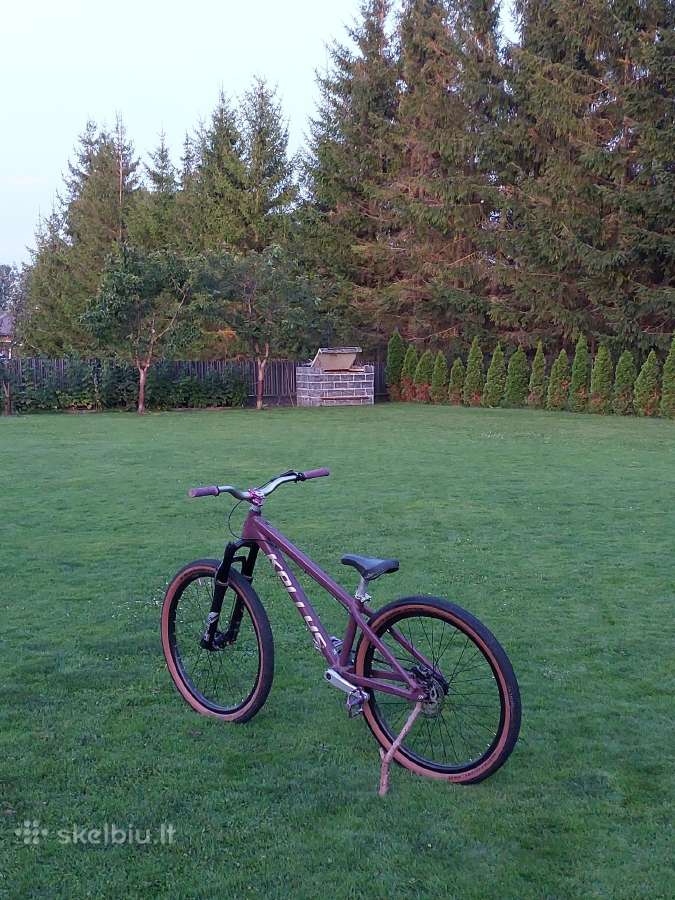 Dirt jumper/mainau - nuotraukos Nr. 8