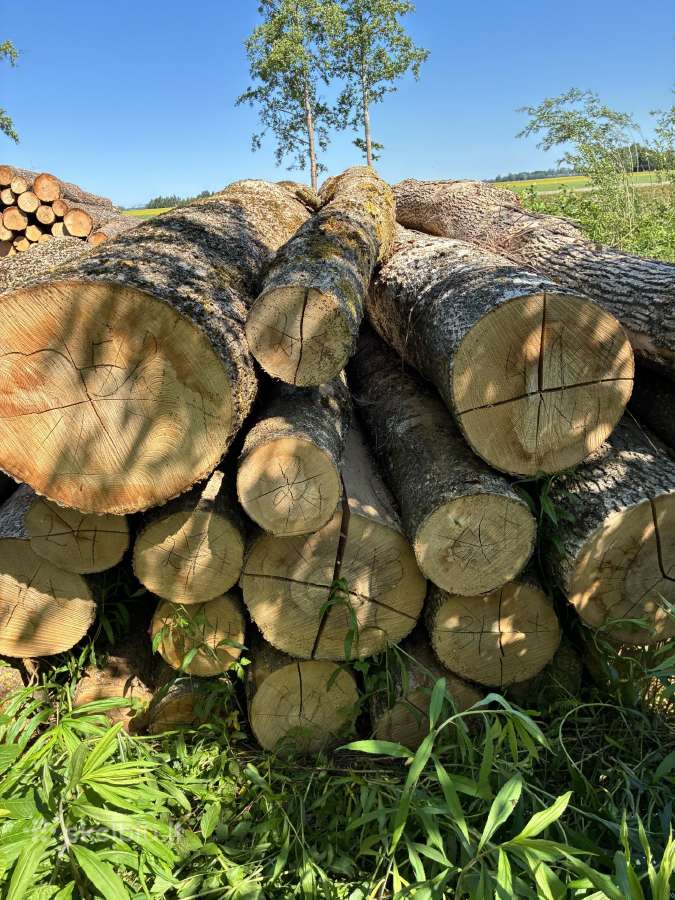 Parduodu uosio ,beržo, juodelksnio,drebules rąstus - nuotraukos Nr. 4