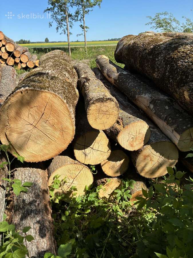 Parduodu uosio ,beržo, juodelksnio,drebules rąstus - nuotraukos Nr. 5