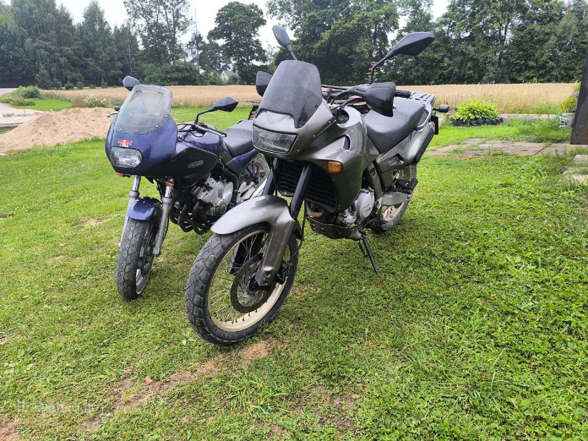 Yamaha Pegaso Bandit - nuotraukos Nr. 2