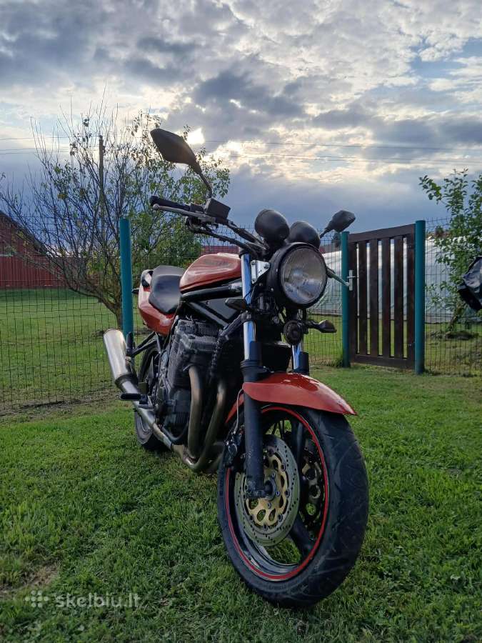 Yamaha Pegaso Bandit - nuotraukos Nr. 3