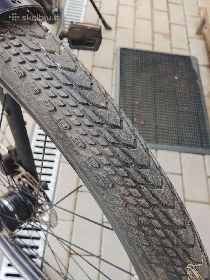 Bergamont Vitess N8 belt - nuotraukos Nr. 3