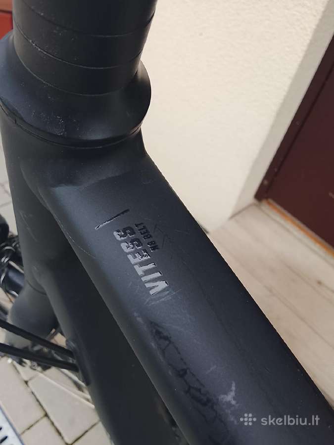 Bergamont Vitess N8 belt - nuotraukos Nr. 5