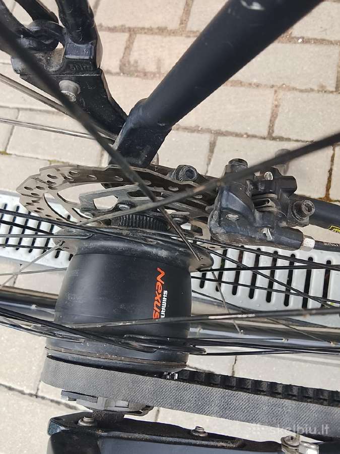Bergamont Vitess N8 belt - nuotraukos Nr. 6