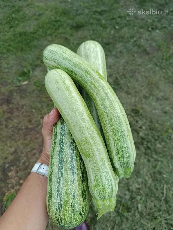 Uogos ir daržovės iš šeimos ūkio - nuotraukos Nr. 4