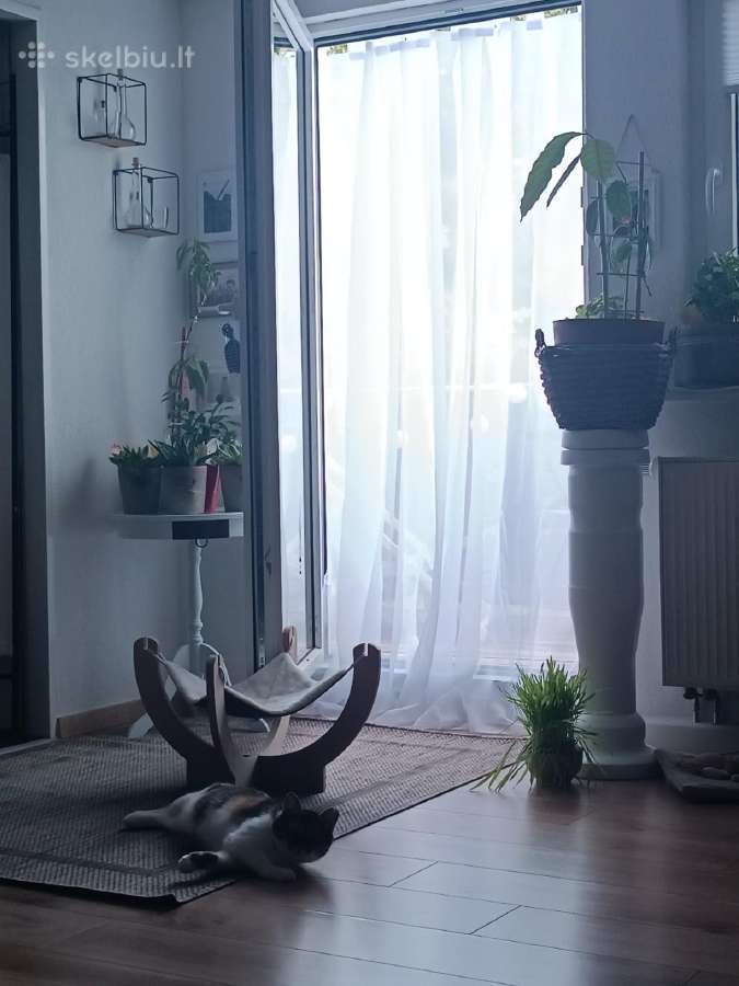 Užuolaidos terasai sodo skaidrios 274 x254 - nuotraukos Nr. 2