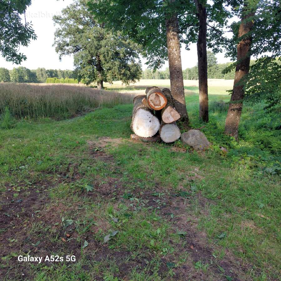Parduodamas kokybiškas kietmedžio rastų rinkinys - nuotraukos Nr. 2