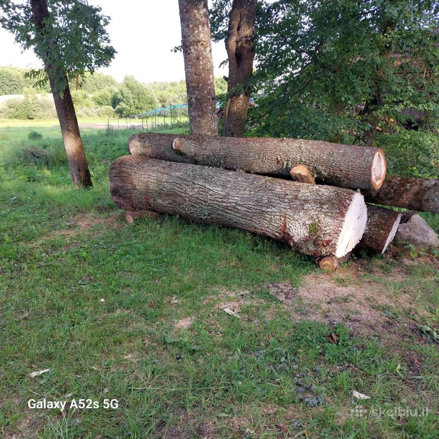 Parduodamas kokybiškas kietmedžio rastų rinkinys - nuotraukos Nr. 3