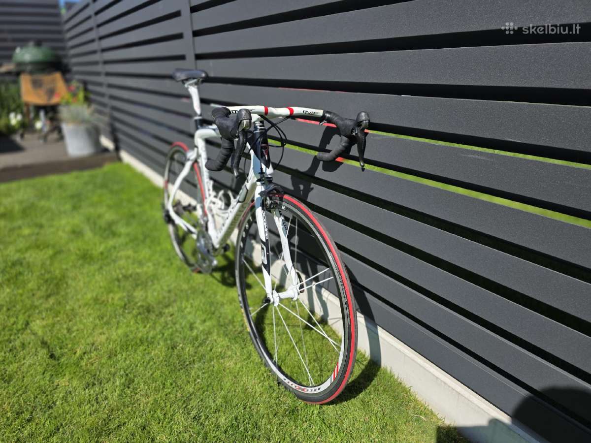 Pinarello dogma plentinis dviratis 58cm XL dydis - nuotraukos Nr. 6