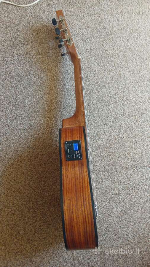 Gitara - nuotraukos Nr. 3