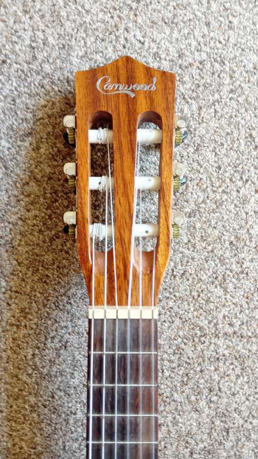 Gitara - nuotraukos Nr. 4